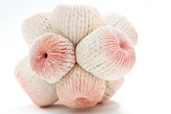 Objekt »Polyanemonie« Keramik (Steinzeug, Porzellanpulver, Farbkörper) 250 × 200 × 200 mm