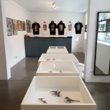 Golden Fudo Store - Schmuck Kunstdrucke Apparel