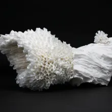 weißes, korallenartiges Porzellanunikat aus der Serie "Between the Tides"