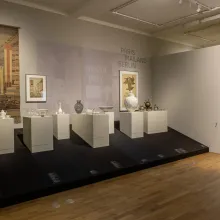 FORMEN DER ANPASSUNG Ausstellungsansicht