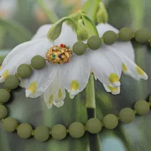 Wechselschließe Blätterkokon