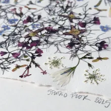 Blütenbild von Studio FLOR, DIY-Workshops in Berlin, gepresste Blumen