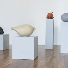 Serie Früchte