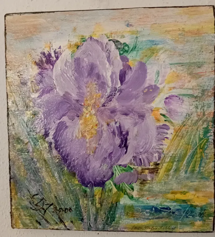 Iris