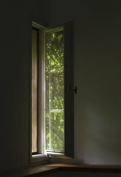 Eckfenster, 2011 -2026, Bild-Nr. 11