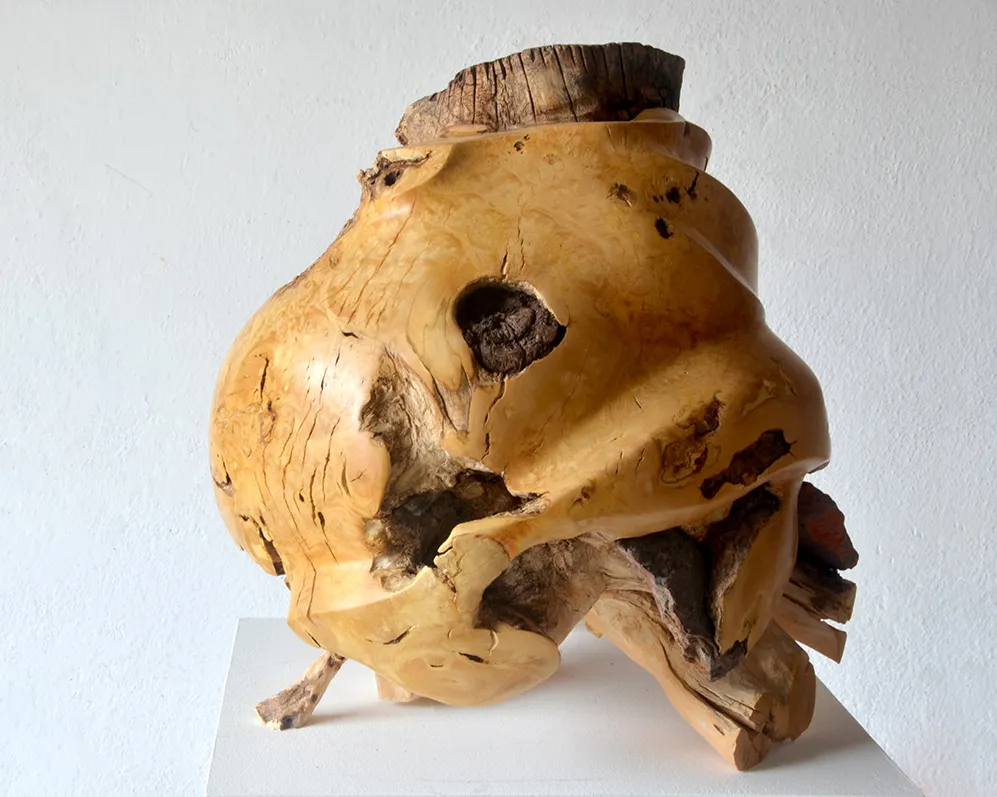 Holunder, 40x40cm, h 42cm, 14kg