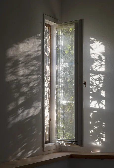 Eckfenster, 2011 -2026, Bild-Nr. 31