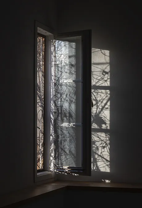 Eckfenster, 2011 -2026, Bild-Nr. 33