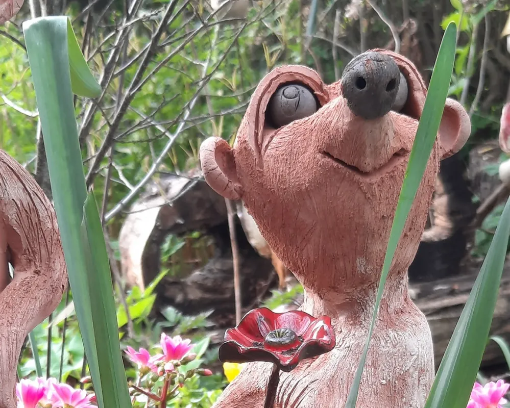 Eins meiner vielen Erdmännchen