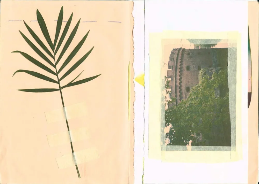 Beispiel eines Kunstbuchs mit Herbarium und Fotocollage