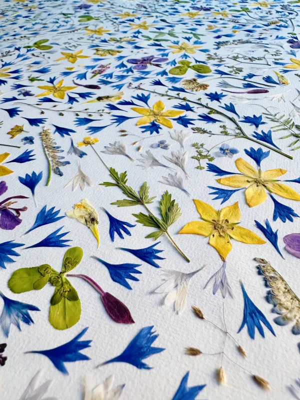 Blütenbild von Studio FLOR, DIY-Workshops in Berlin, gepresste Blumen