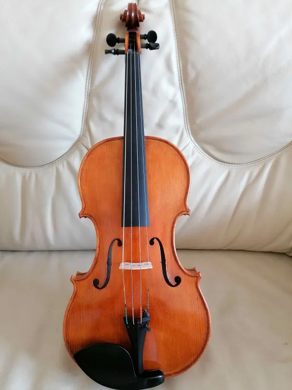 Violine in der Vorderansicht