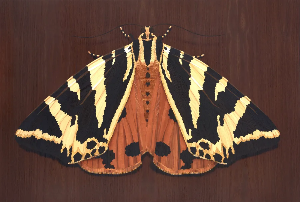 Spanische Flagge, 2026