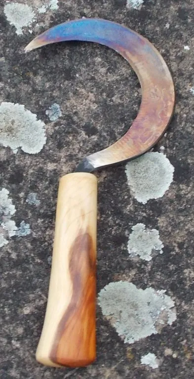 Kräutersichel in mittelalterlicher (nicht keltischer!) Form mit Griff aus Eibe; Klinge gebläut