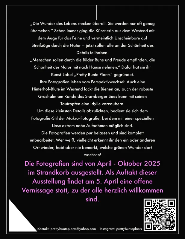Larissa Zwingel / Pretty Bunte Plants Flyer Ausstellung "Die Schönheit des Details"
