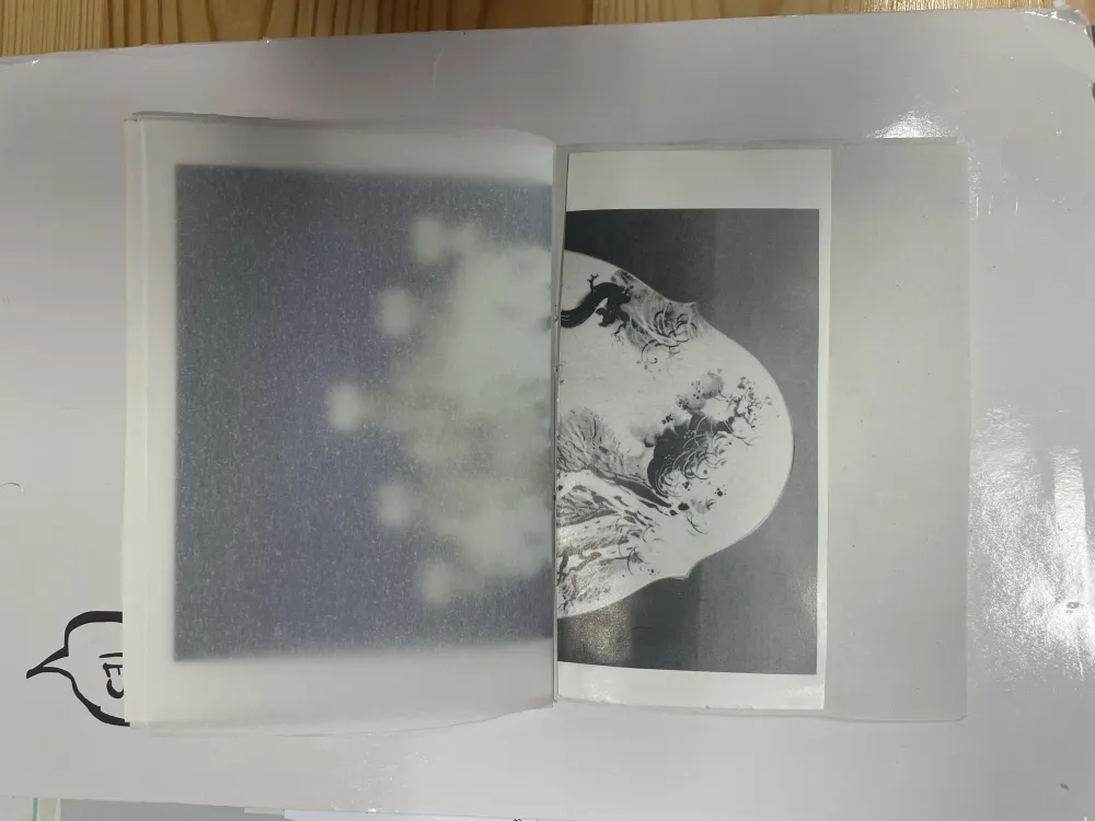 Das Beispiel des Kunstbuchs