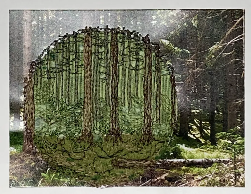 Lu Meschenmoser, gestickte Karte Wald