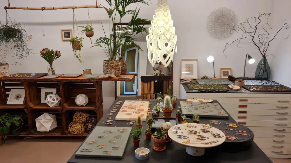 Innenansicht Showroom Kosae