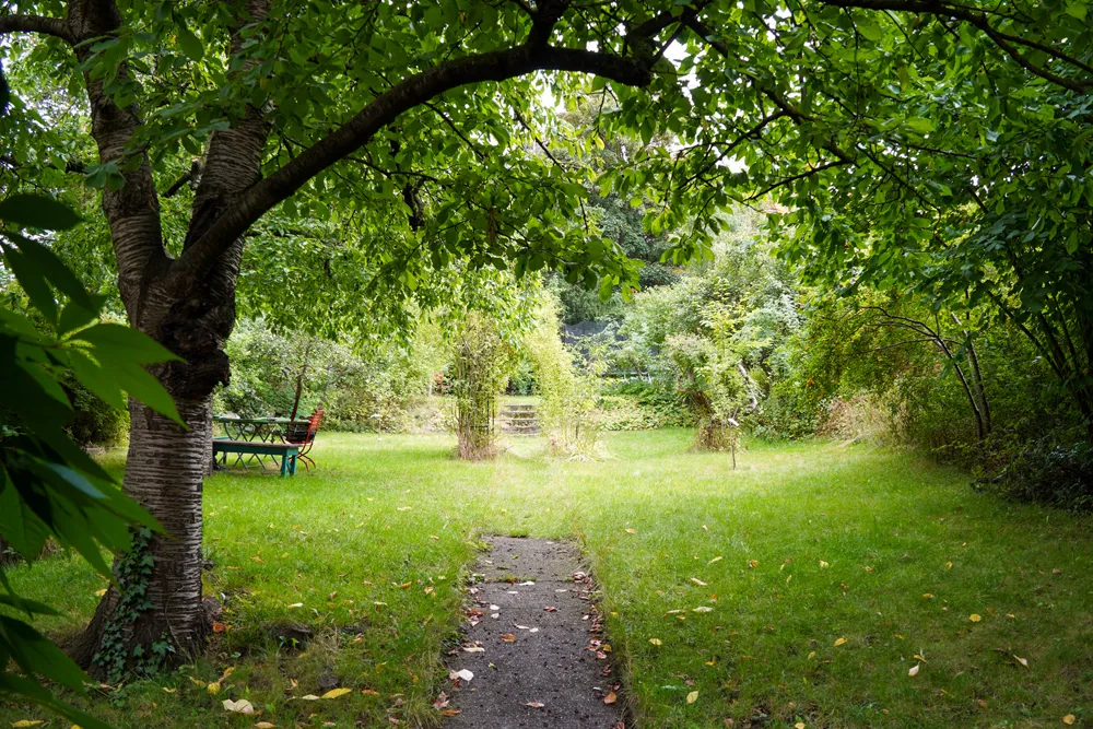 Unser Garten.