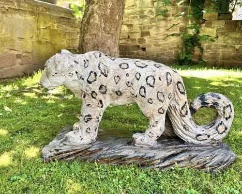 Leopard von Tobias Hermann