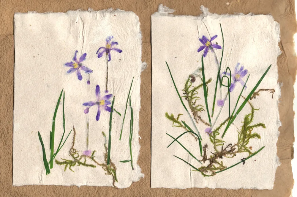 Gestaltetes Büttenpapier mit eingeschöpften Blüten