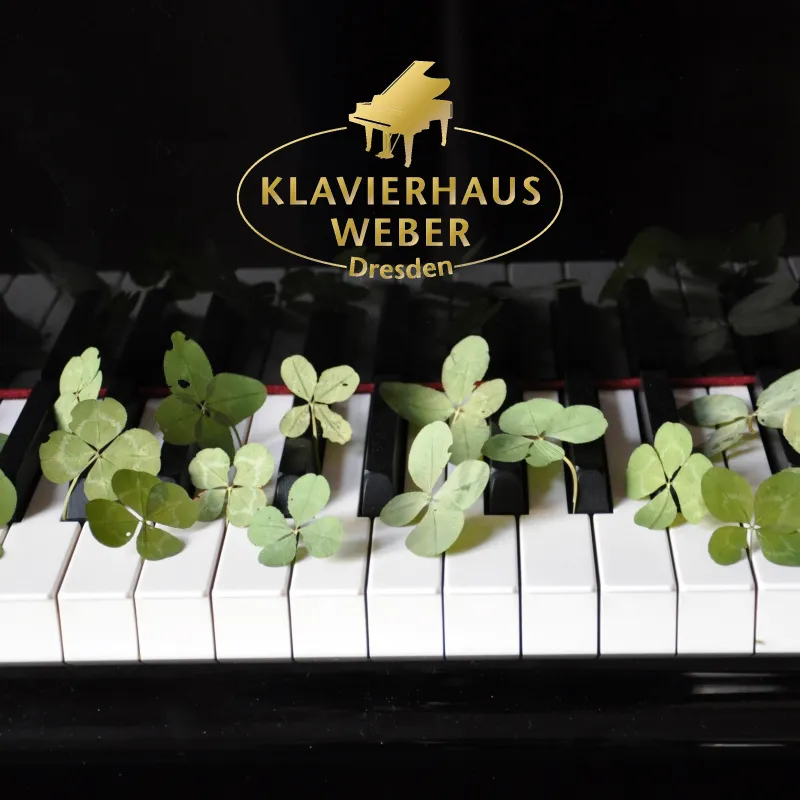 Zum Glück gibt es Musik!