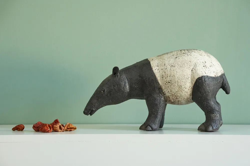 Tapir (Bild © Janos Wlachopulos)