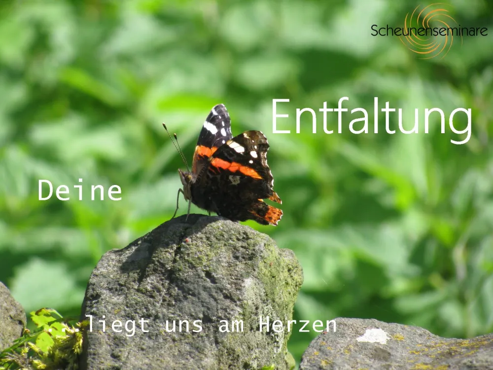 © Scheunenseminare Entfaltung