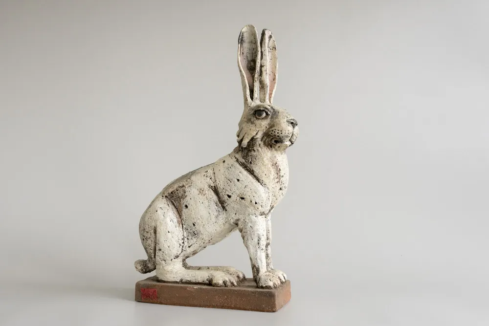 Hase