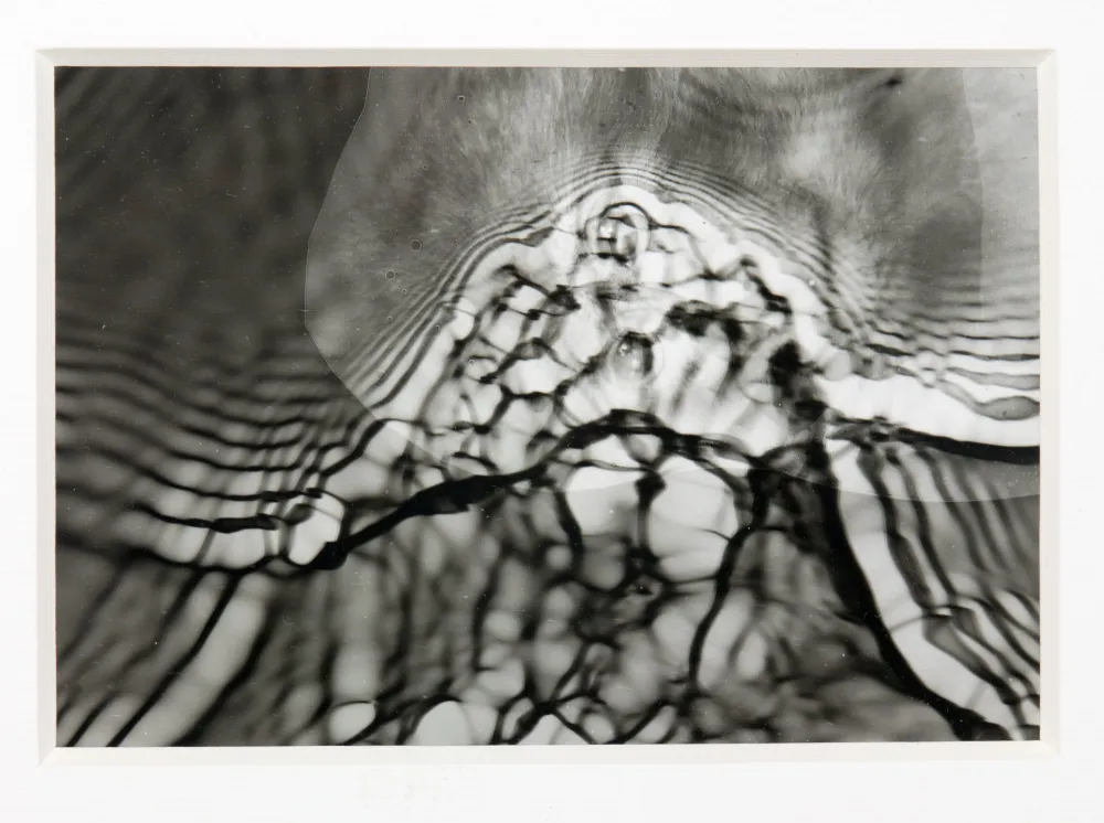 die Welle 2, (c) Sigrun Janiel