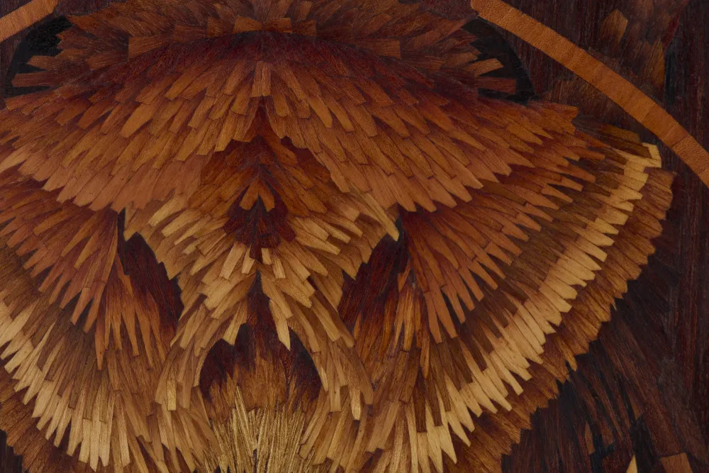 Lichtnelkeneule, 2022