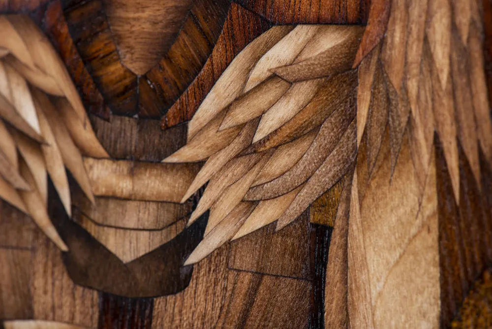 Erbseneule ,2021, Detail