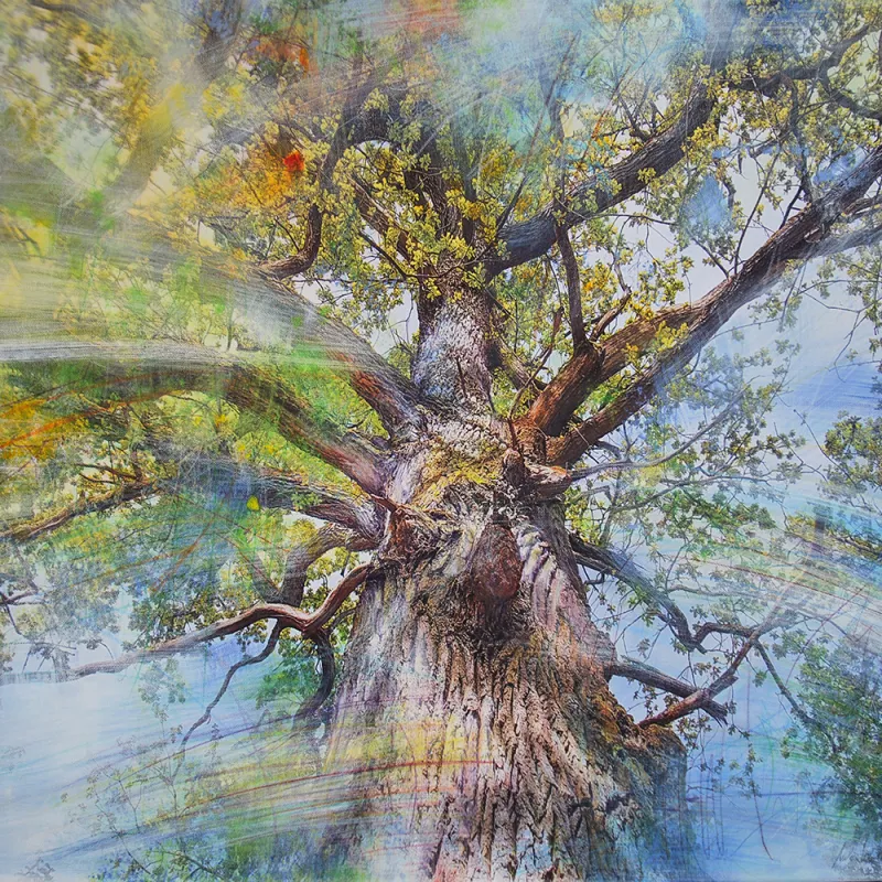 Copyright Anke Sowada